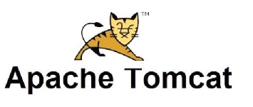 Tomcatè.jpg